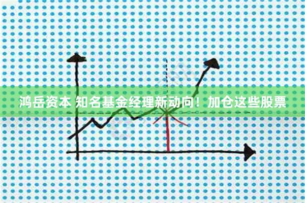 鸿岳资本 知名基金经理新动向！加仓这些股票