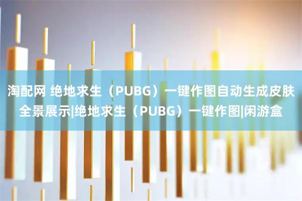 淘配网 绝地求生（PUBG）一键作图自动生成皮肤全景展示|绝地求生（PUBG）一键作图|闲游盒