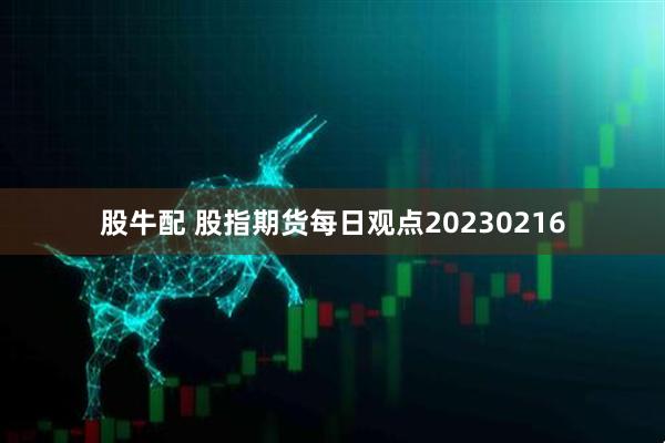 股牛配 股指期货每日观点20230216
