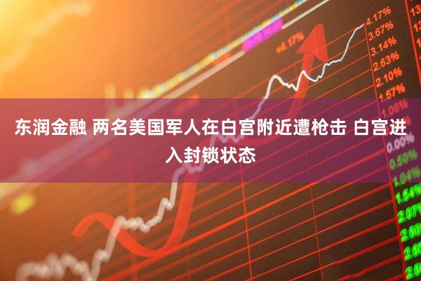 东润金融 两名美国军人在白宫附近遭枪击 白宫进入封锁状态