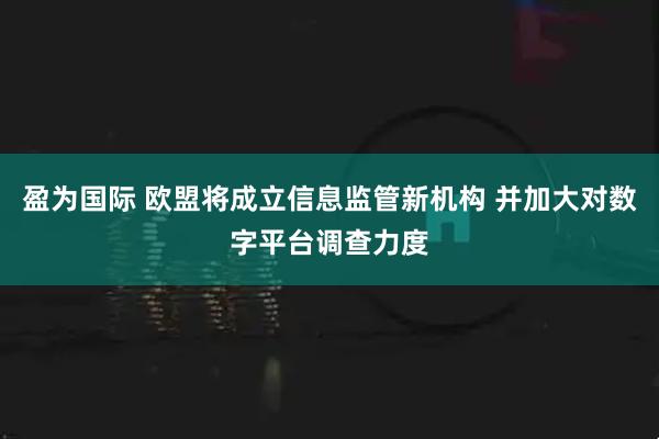 盈为国际 欧盟将成立信息监管新机构 并加大对数字平台调查力度