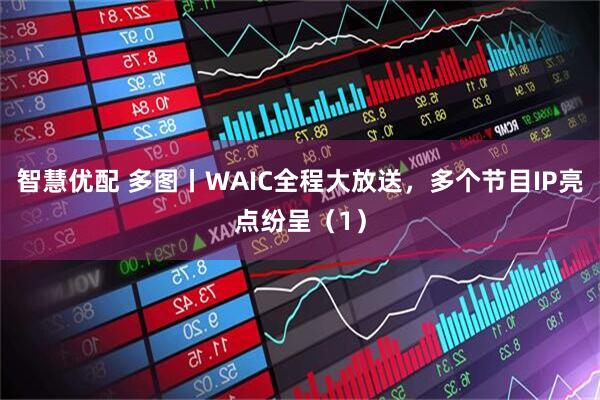 智慧优配 多图丨WAIC全程大放送，多个节目IP亮点纷呈（1）